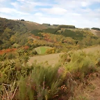 DSCN8554