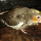 20150226_201225