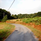 DSCN8401