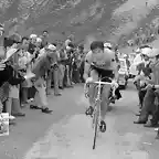 TOUR 1972-MERCKX.