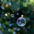 Burbujas (Bubbles, foto Jeff Kubina)