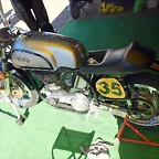 DSCN5653