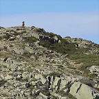50-IMG_3588