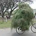 transporte-extremo-bicicleta-01