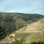 DSCN9443