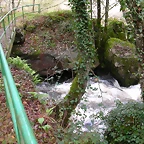 DSCN5786