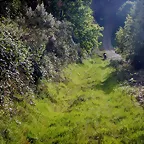 DSCN2100