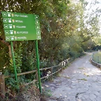 DSCN9269