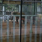 Zoo de Barcelona 14-04-11 278