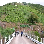 DSCN1730