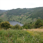 DSCN1769