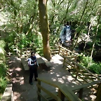 DSCN2257