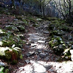 DSCN7941
