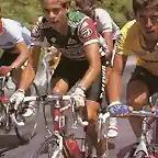 Perico-Tour1988-Hampsten-Bauer