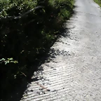 DSCN3837
