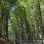 IMG_20220812_122814