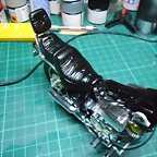 DSCN4600