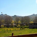 DSCN9749
