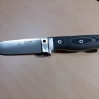 MT5