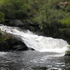 DSCN2815