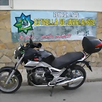javal 2013 023