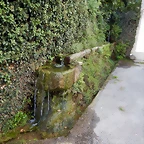 DSCN7245