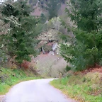 52-IMG_4565