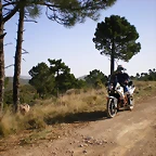 IMGP5671