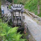 DSCN6770