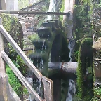 DSCN6792