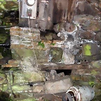 DSCN6786