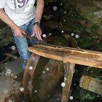 DSCN6783