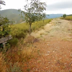 DSCN9904
