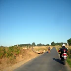DSCN7210
