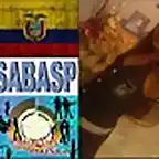 6 Semifinalistas