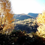 DSCN9505