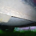 10596296_10204503779939890_49887985_n