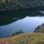 DSCN6534