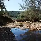 huerta oliva al fondo