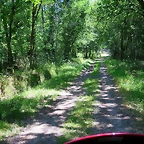 77-IMG_2268