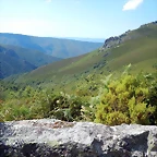 DSCN7102