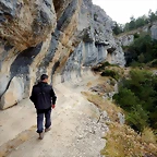 DSCN6553