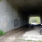 DSCN9244