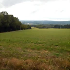 DSCN4342