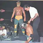 Maravilla Enmascarada