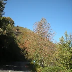 DSCN0118