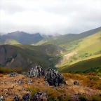 DSCN8715