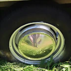 20170715_172839