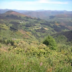 DSCN5003