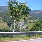 DSCN2282